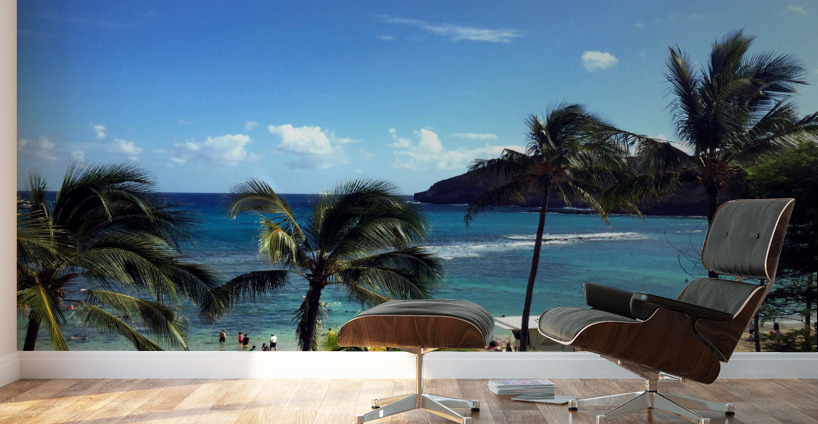 Hello Beaches Wall Murals