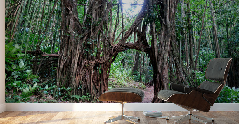 Welcome to the Jungle  Wall Murals