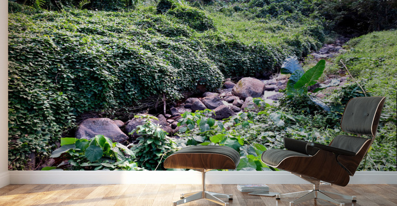 Hiking Hawaii 3 Wall Murals