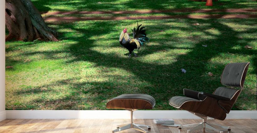 Cock in the Wild 2 Wall Murals