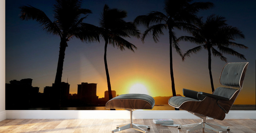 Hawaii Sunset 2 Wall Murals