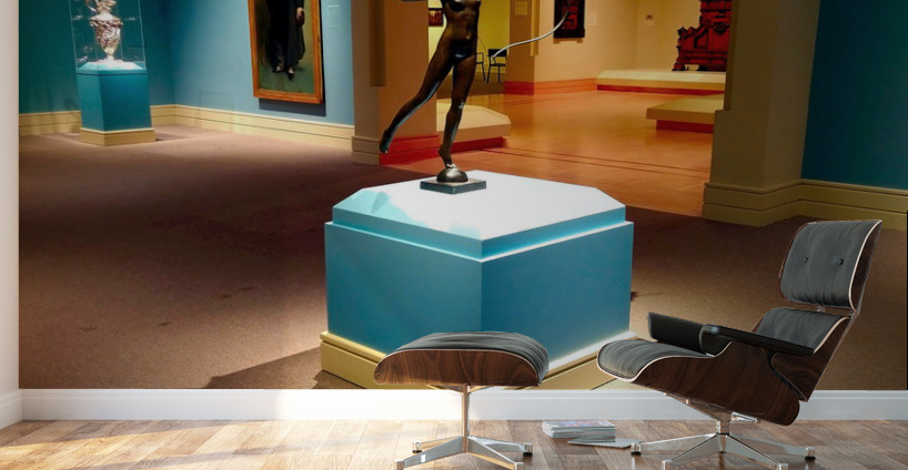 Museum Reflections 5 Wall Murals