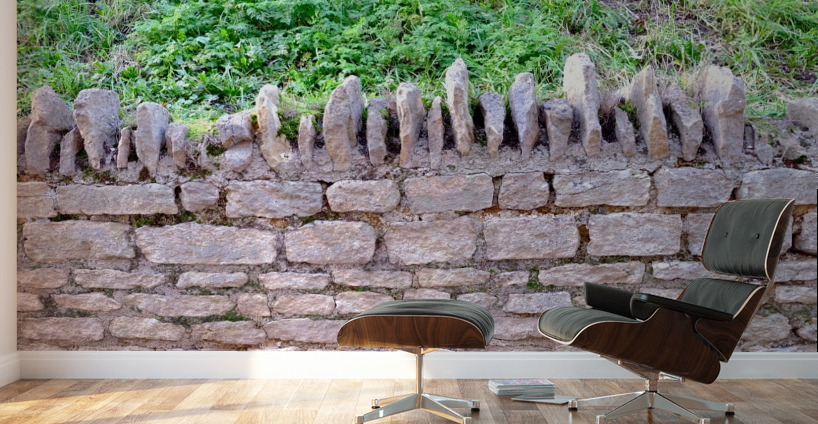Barbed Stone Wall 2 Wall Murals