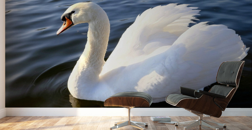 Wings of Love 1B Wall Murals