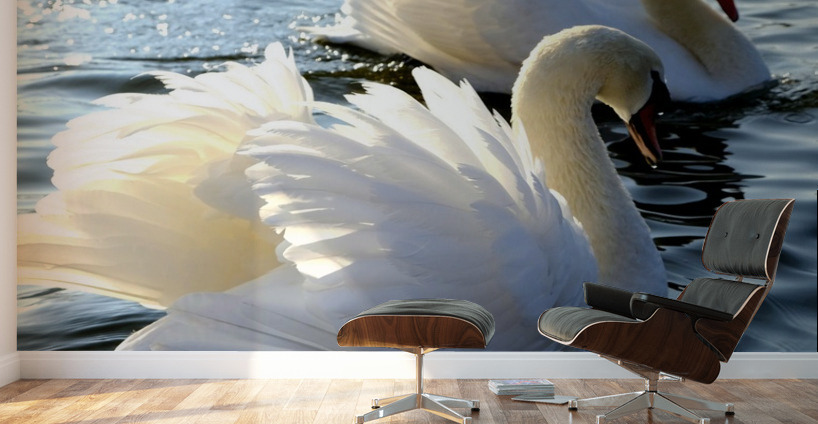 Wings of Love Pair 1A Wall Murals