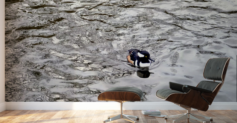 Only The Lonely Loon 1B Wall Murals