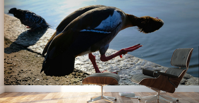 Is the Sky Falling...Just Checking Wall Murals