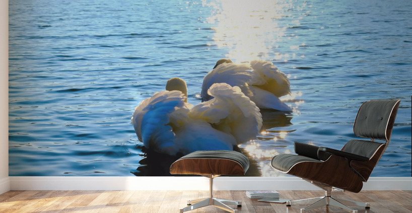 Behind Wings of Love 2B Wall Murals