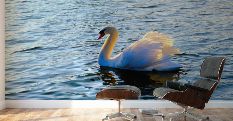 Silent Drift Wall Murals