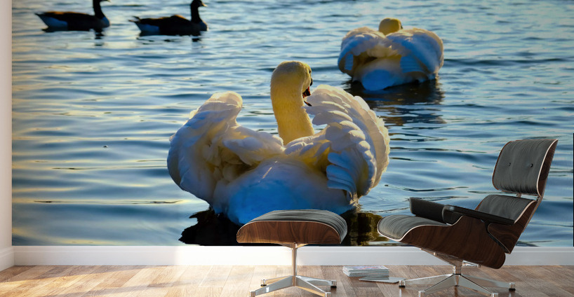 Behind Wings of Love Wall Murals