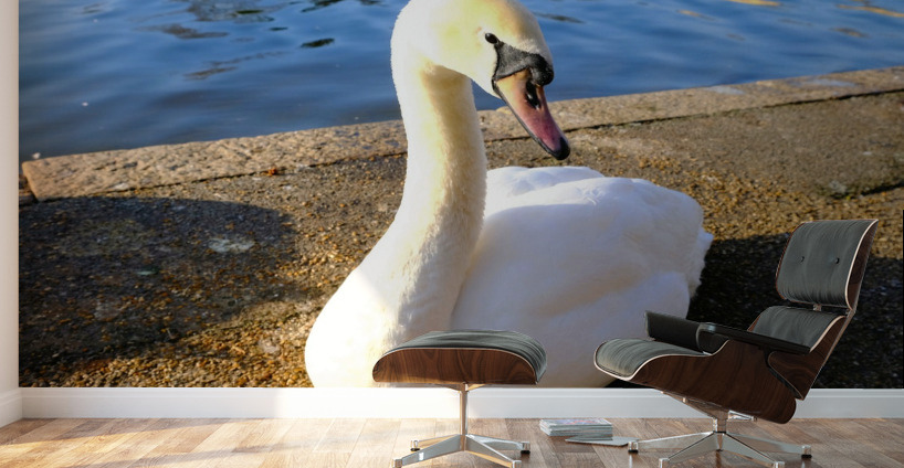 Lake’s Guardian Wall Murals