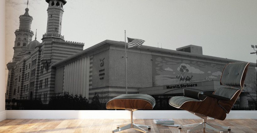 Light and Heritage Wall Murals