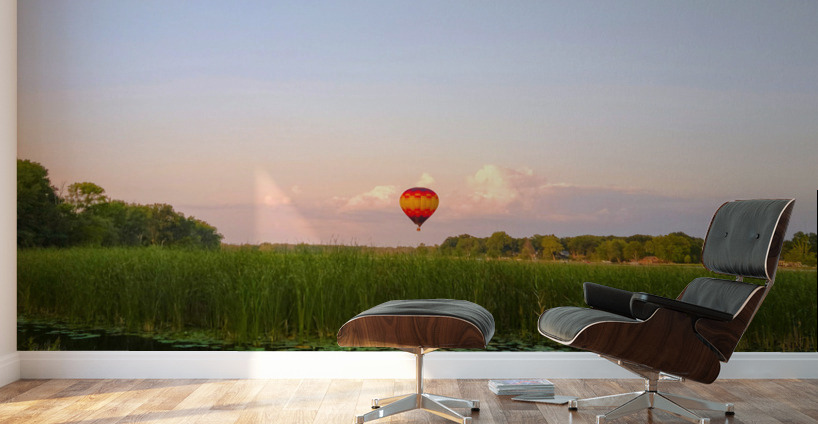 Balloon Over Long Lake Wall Murals