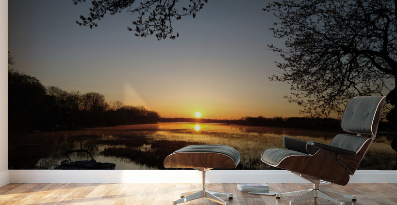 Michigan Morning Sunrise Wall Murals