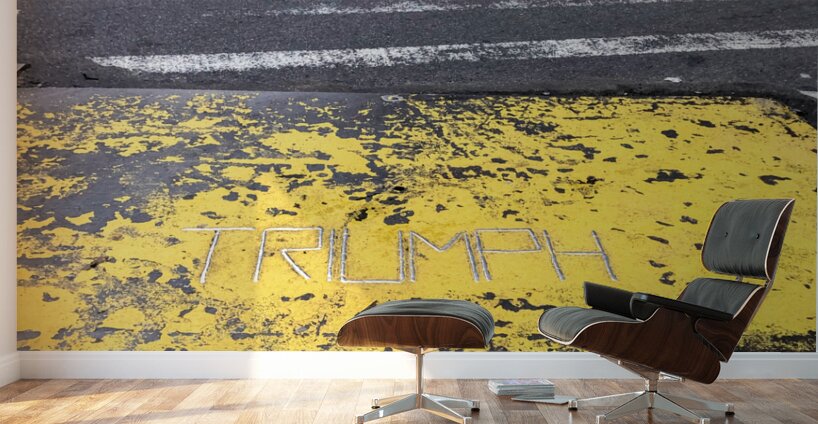 Triumph in the Pavement Wall Murals