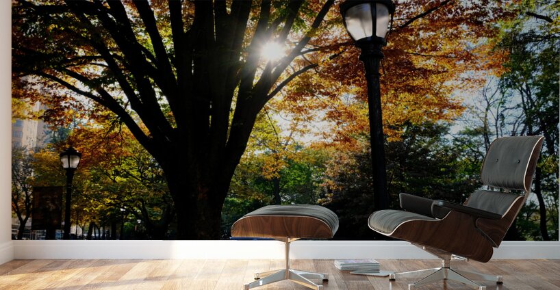 Shades of Autumn Wall Murals