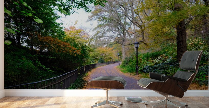 Autumn Stroll Wall Murals