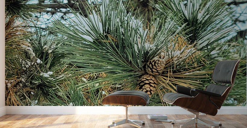 Winter Pinescape Wall Murals