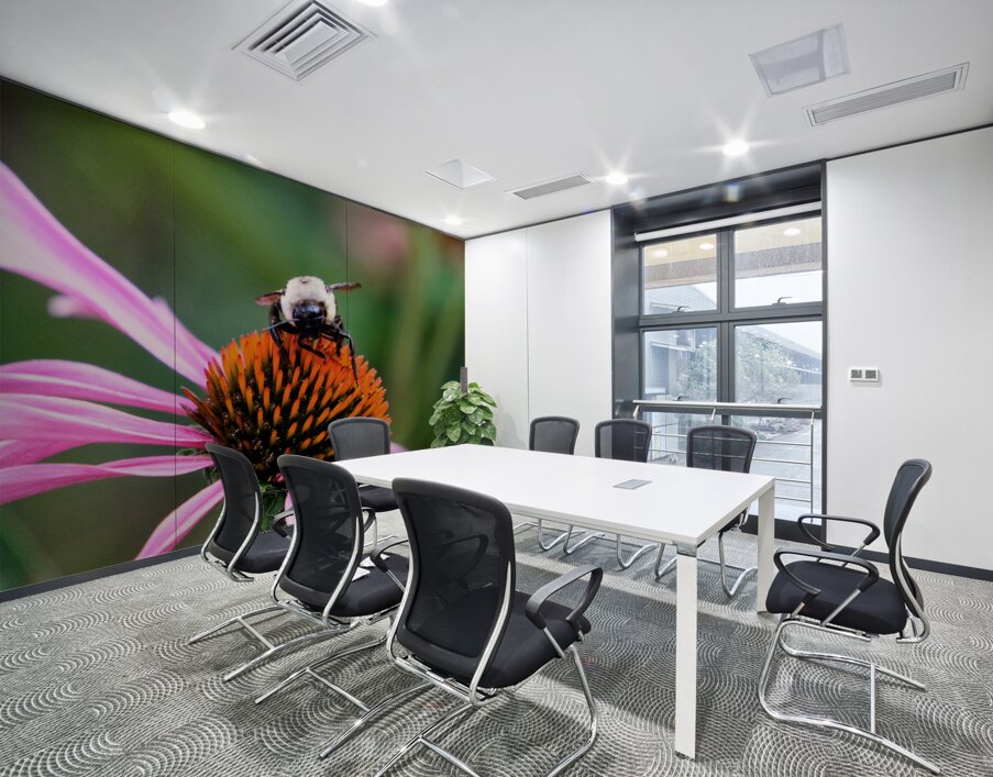 The Golden Heart of the Purple Coneflower Wall Printing