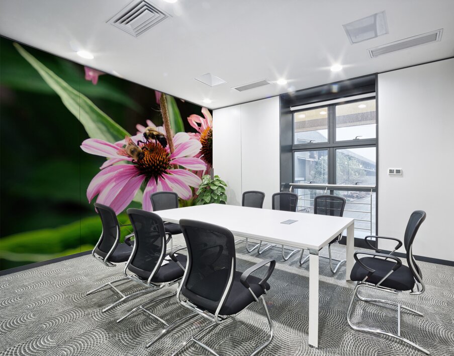 Duo at Dawn: Bees on the Coneflower’s Crown Wall Printing