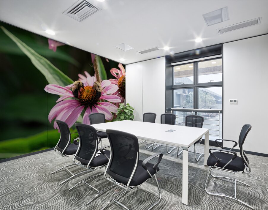 The Harmony of Pollination: Twin Bees on a Purple Coneflower Wall Printing