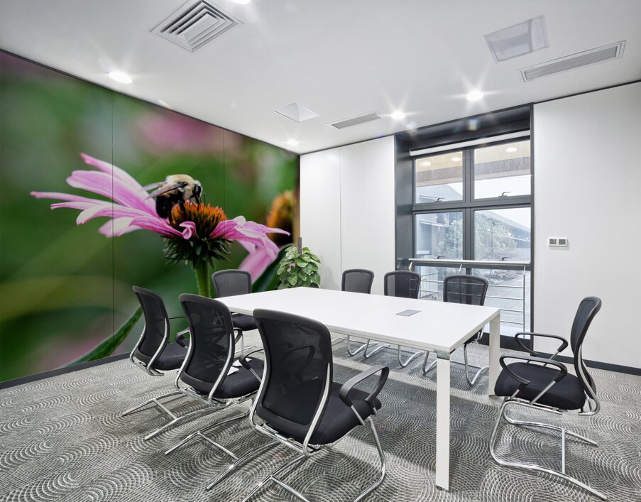 A Bumblebee’s Pause on Coneflower Wall Printing