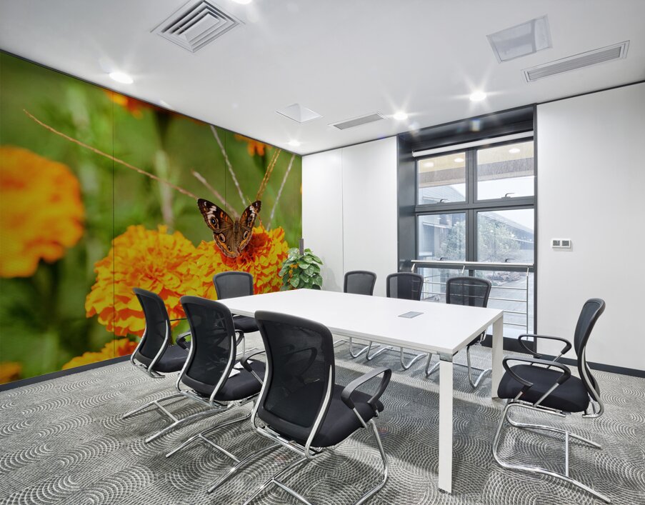 Buckeye Butterfly on Marigold: The Secret Life of Wings and Petals Wall Printing