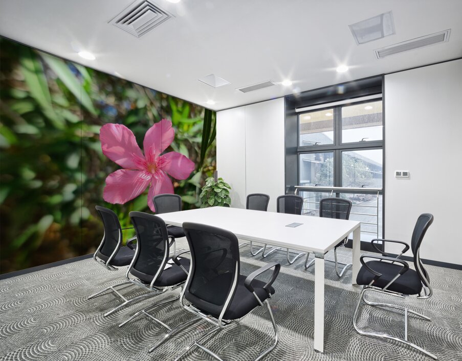 Sun-Kissed Solitude Wall Printing