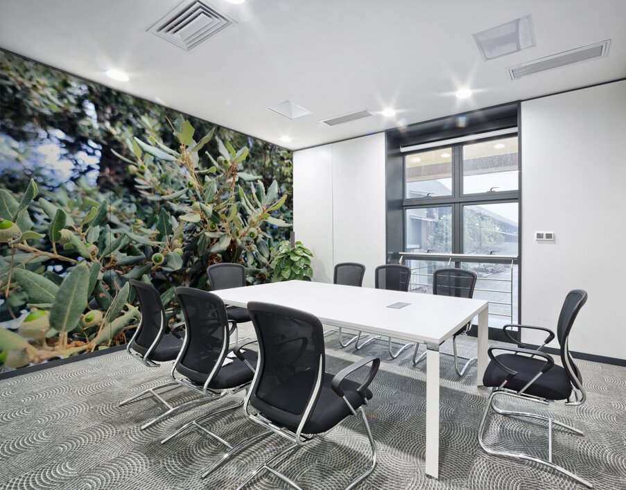 Acorn Awakening Wall Printing