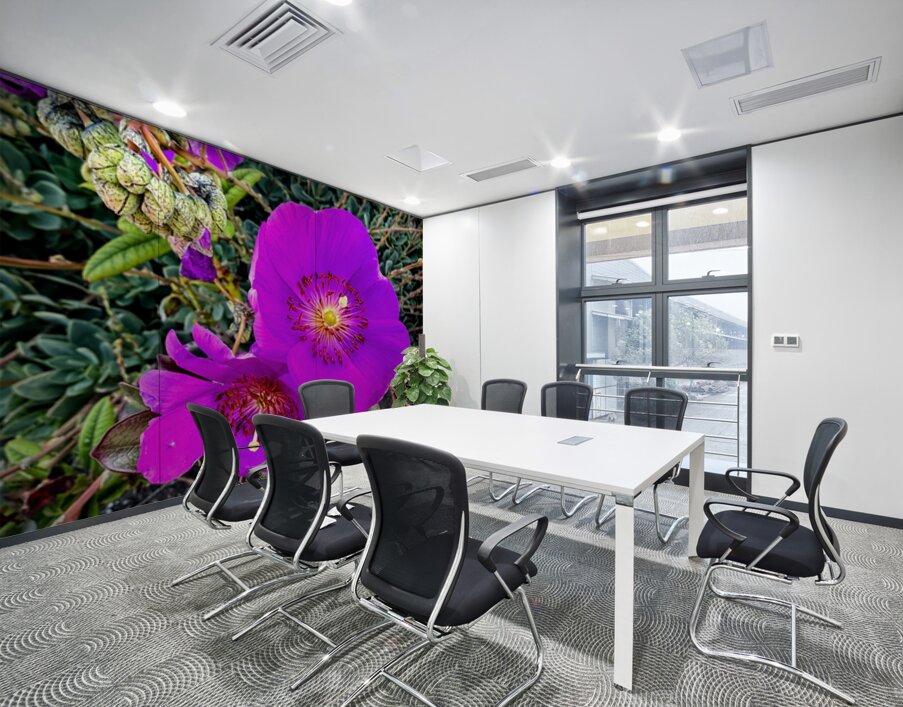 Rock Purslane: Pulse of the Desert Bloom Wall Printing