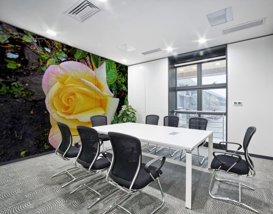 Yellow Rose: Velvet Helix Wall Printing