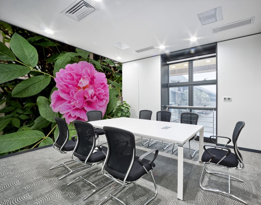 Wild Grace: The Rugosa Bloom Wall Printing