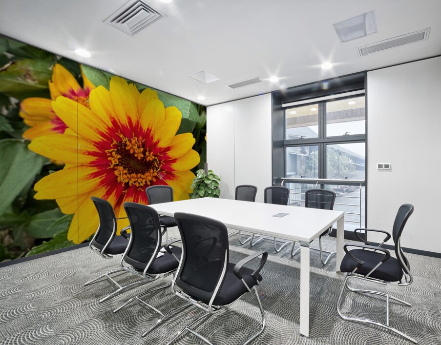 Solflare Echo Wall Printing