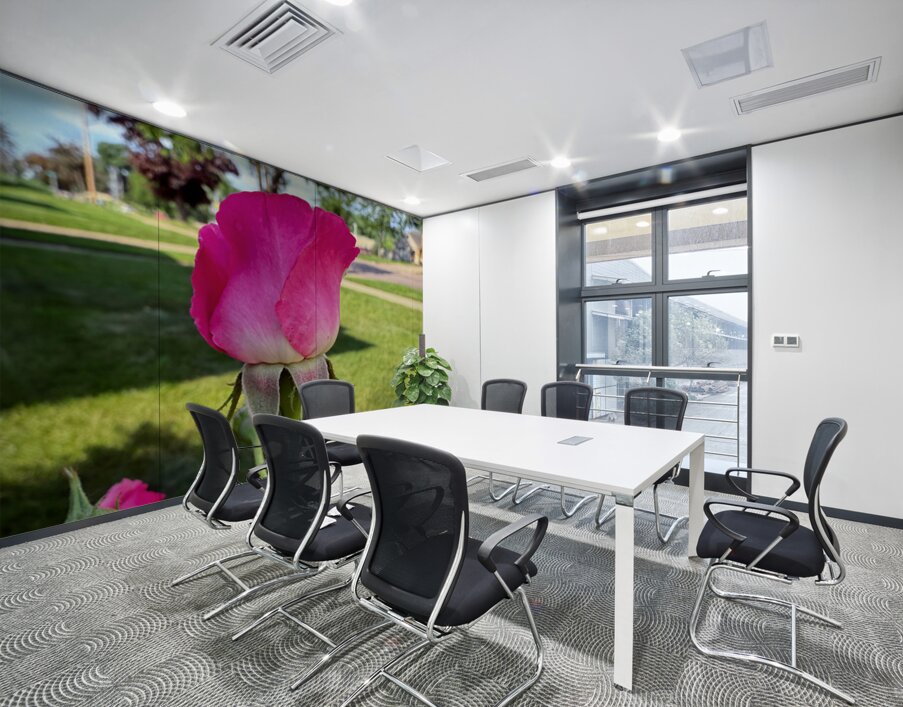 The Rose That Waits: Patience in Pink Wall Printing