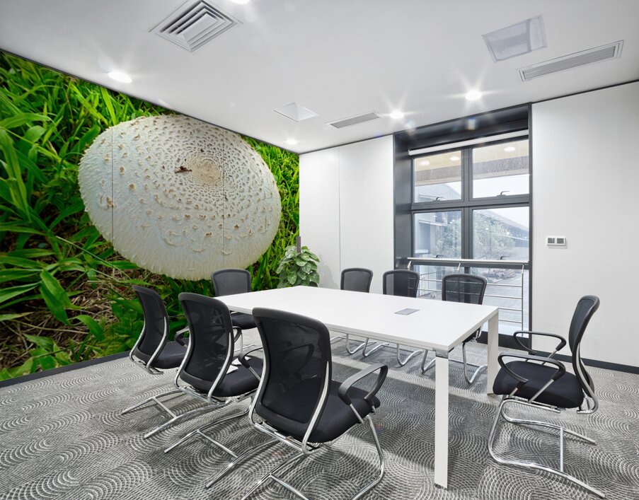 Fungal Solar Disc Wall Printing