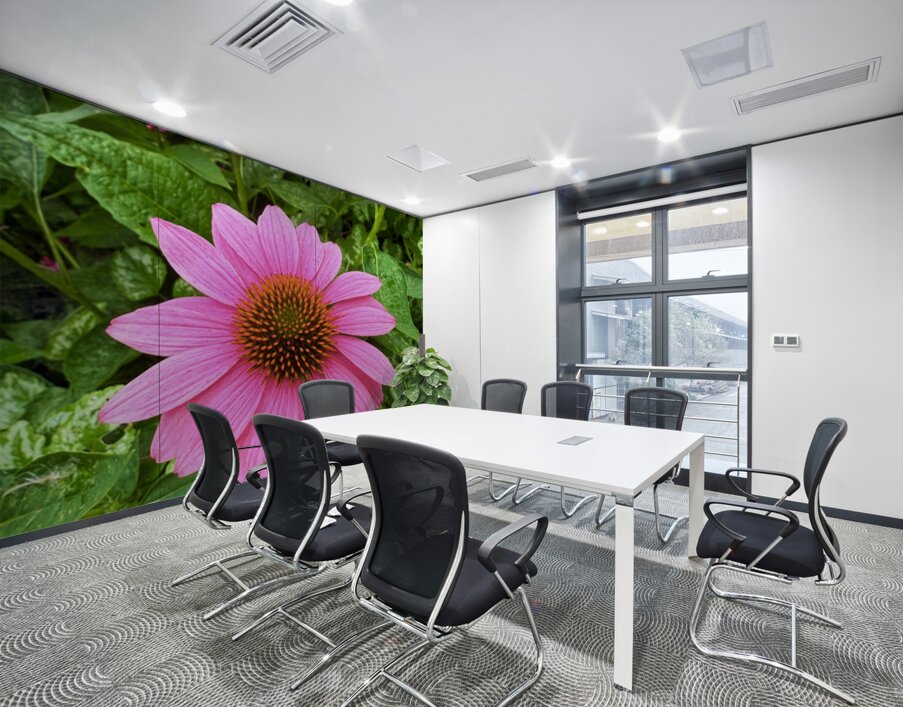 Pink Serenity Wall Printing