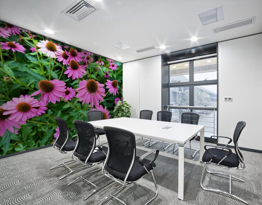 Field of Echinacea Dreams Wall Printing