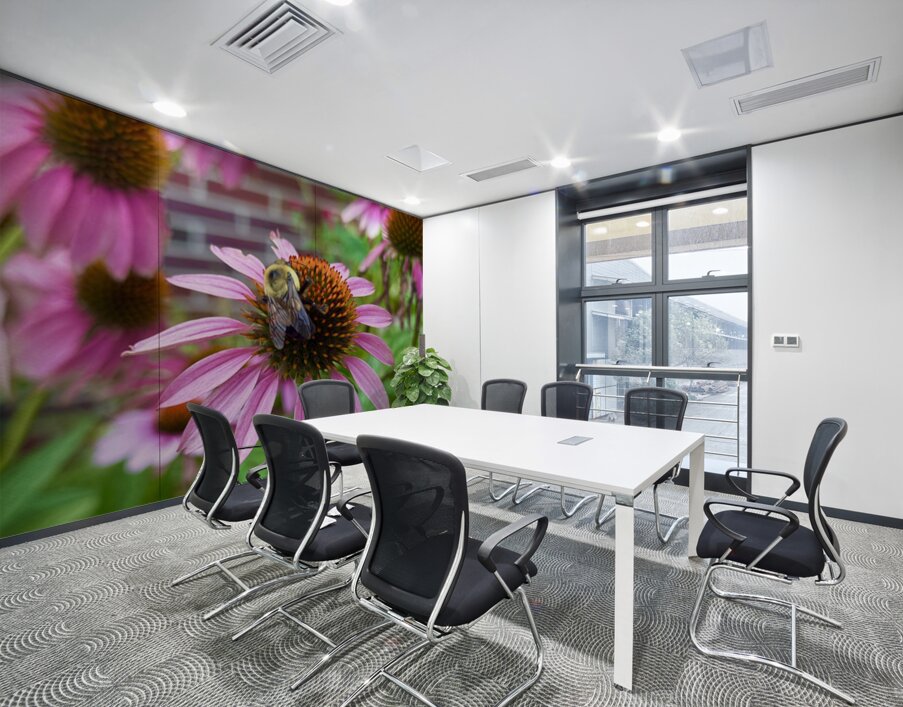 Coneflower Harmony Wall Printing