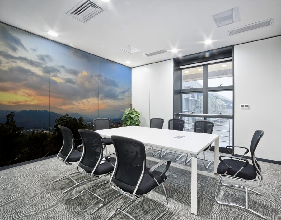 IMG 0498 Wall Printing