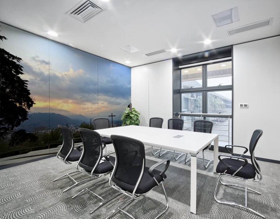 IMG 0505 Wall Printing