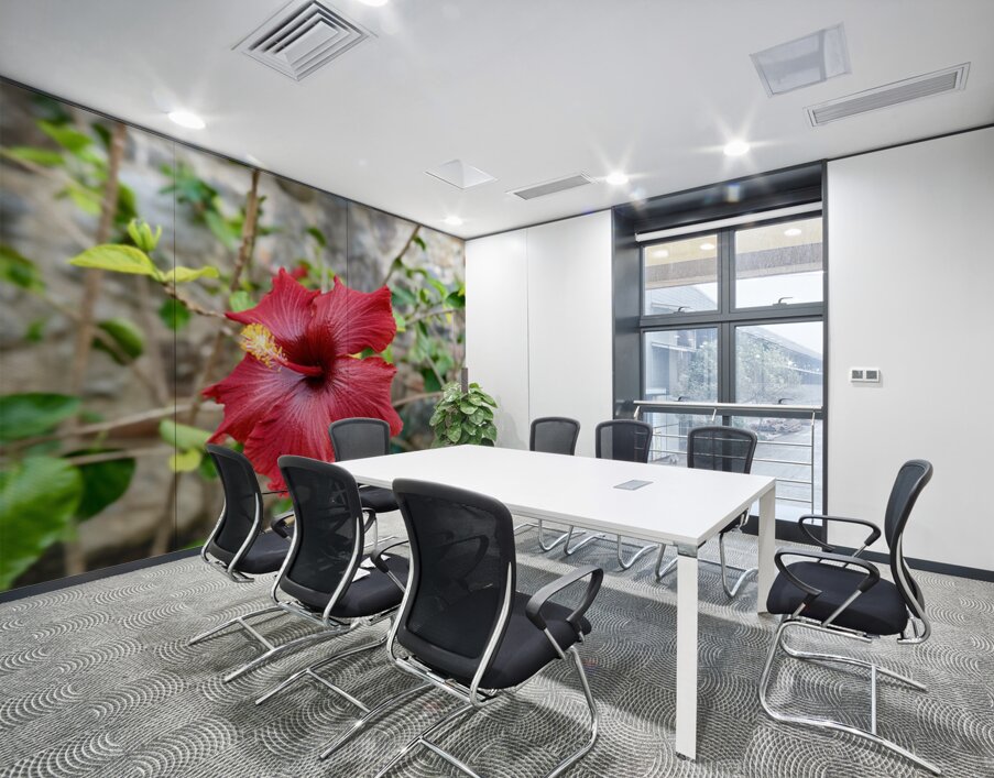 IMG 9955 Wall Printing