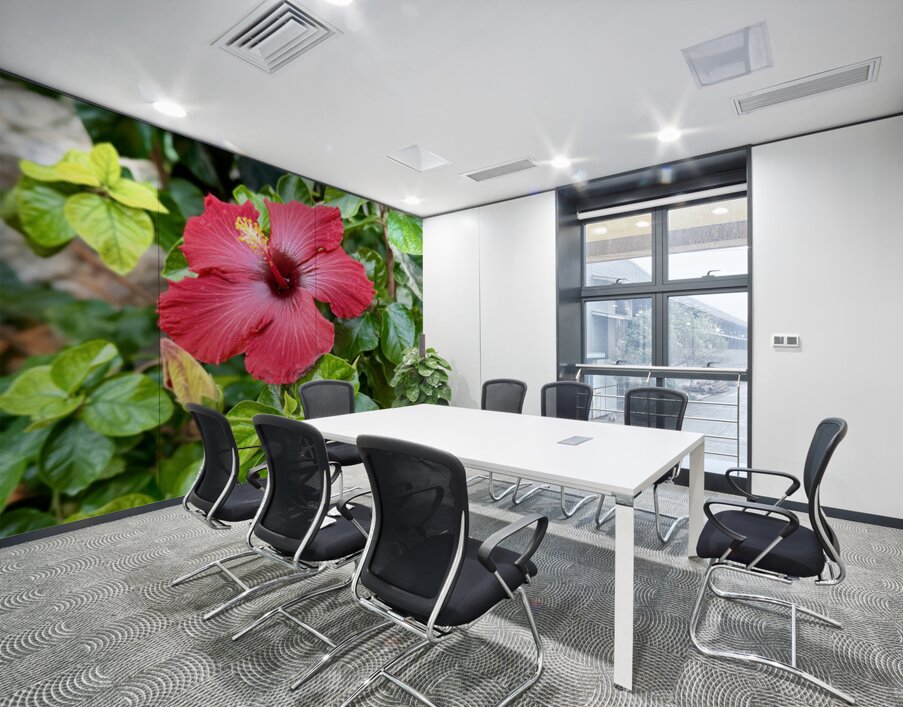 IMG 9958 Wall Printing