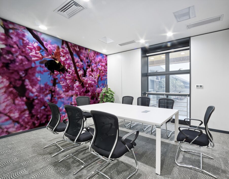 Redbud Season Wall Printing