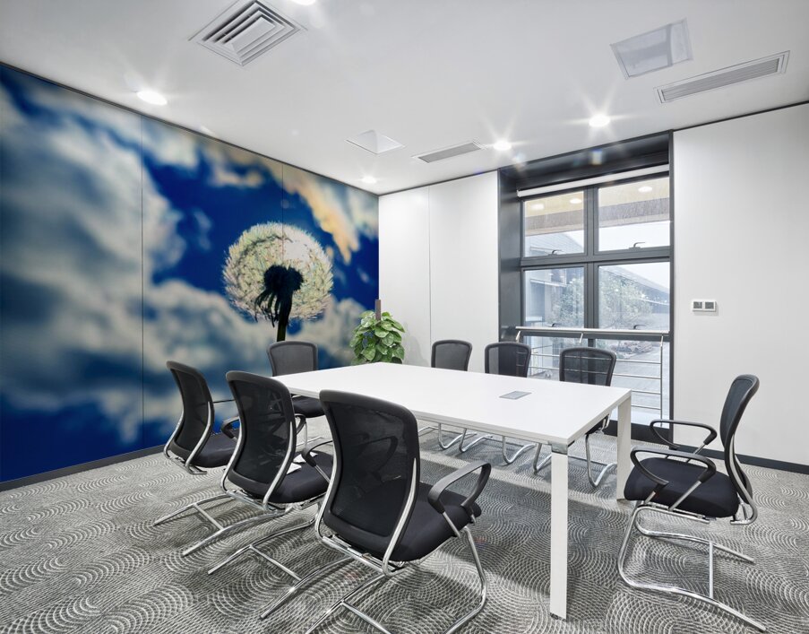 Wild Sky Seeker Wall Printing