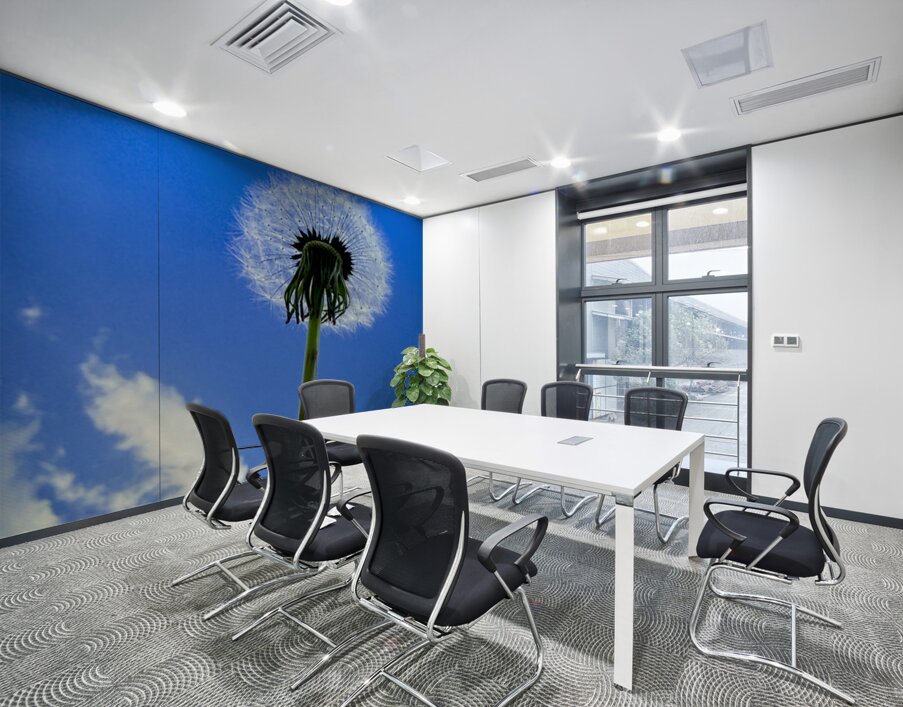 Open Sky Dreamer Wall Printing