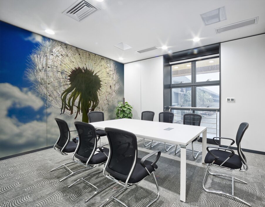 Skybound Dandelion Wall Printing