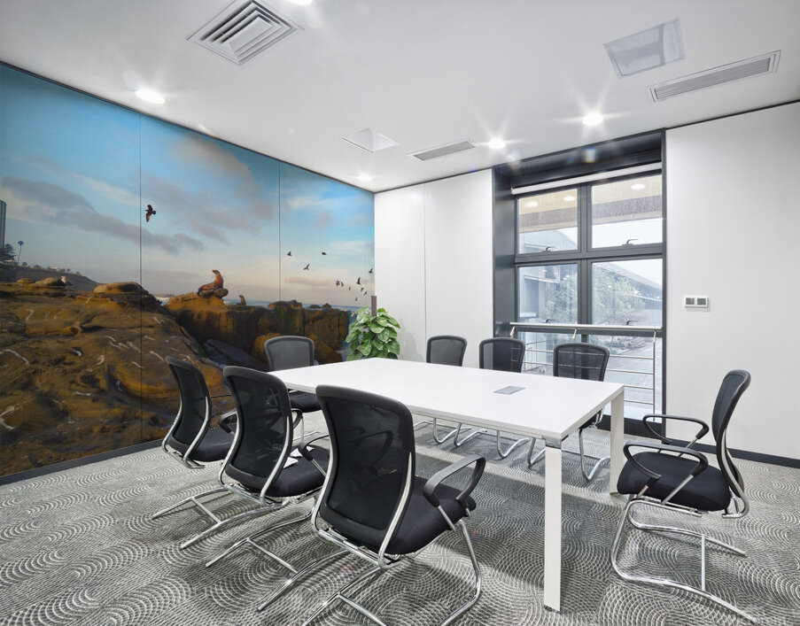 Seal Bird Watching Wall Printing