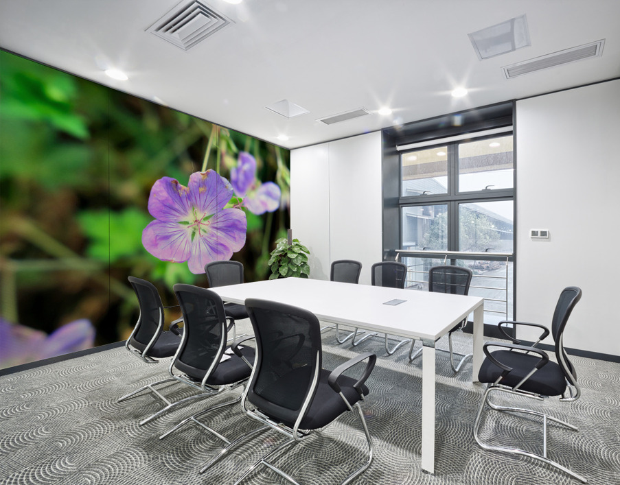 Flower Bloom 8 Wall Printing