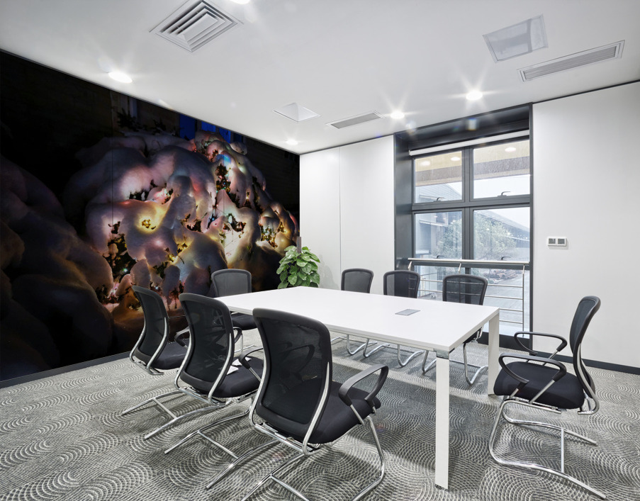 Frozen Christmas 2B Wall Printing