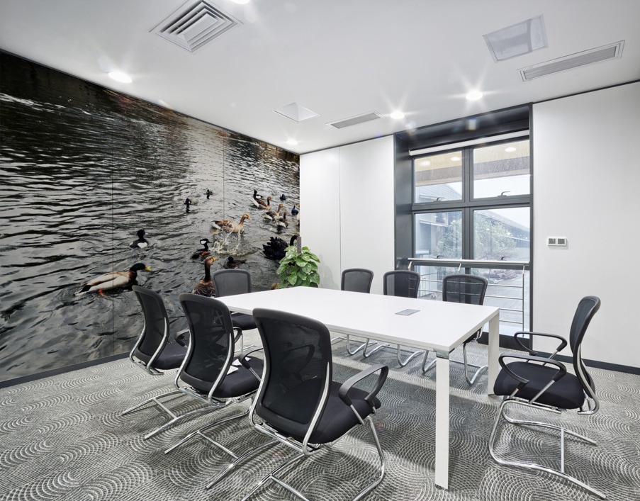 Ducking a Black Swan Moment Wall Printing